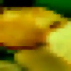 Photo perso de Vanessa, 39 ans à Saint-Germain-du-Pinel - rencontre sans lendemain