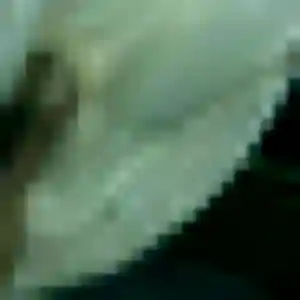 Belle Hortense, 35 ans à Saint-Germain-du-Puch - découvrir son profil