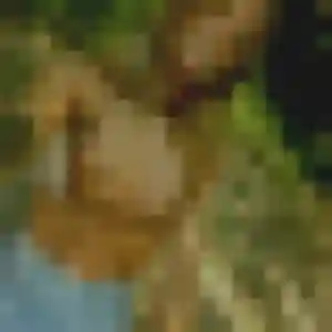 Photo sexy de Monique, 41 ans à Saint-Germain-du-Puch - plan discret