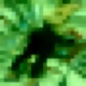 Diane, 24 ans, veut un plan cul à Saint-Germain-Lespinasse