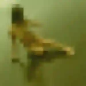 plan cul à Saint-Germain-sur-Rhône : profil de Yvonne, 29 ans - sans engagement