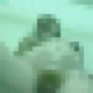 Photo de Lison à Saint-Gervais-la-Forêt (44 ans) - plan cul gratuit