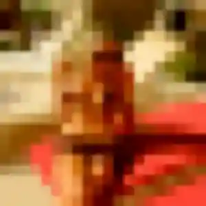 plan cul à Saint-Gervais-la-Forêt : photo de Yvette, 32 ans - inscription gratuite