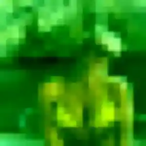 Photo privée de Laurie, 45 ans à Saint-Gervais-les-Bains - rencontre sans lendemain