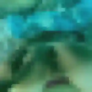Charmante Nour, 34 ans à Saint-Gilles-Croix-de-Vie - voir sa photo