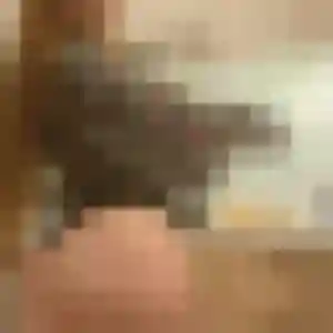 Photo sexy de Anne-Laure, 44 ans à Saint-Hilaire-de-Chaléons - rencontre coquine