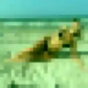 Photo de Adeline à Saint-Hilaire-la-Forêt (32 ans) - plan cul discret