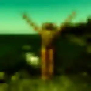 Yolande, 31 ans, veut un plan cul à Saint-Hilaire-Saint-Mesmin