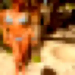 Rose (25 ans) à Saint-Hymer propose une rencontre maintenant