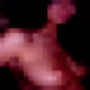 Photo de Lilas à Saint-Inglevert (22 ans) - plan cul anonyme