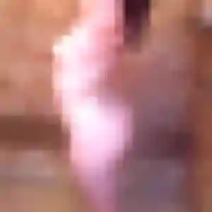 Jolie Daphne, 31 ans à Saint-Jean-d'Heurs - découvrir son profil