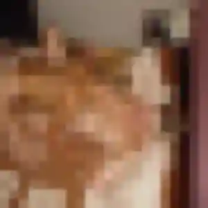 Photo sexy de Louane, 45 ans à Saint-Jean-de-Monts - rencontre coquine