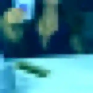 plan cul à Saint-Jean-du-Pin : photo de Eva, 23 ans - sans engagement