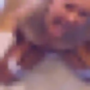 Germaine, 42 ans, disponible à Saint-Julien pour un plan cul