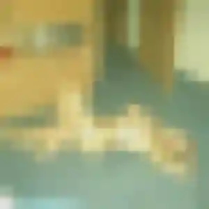 plan cul à Saint-Julien-de-Cassagnas : profil de Clotilde, 45 ans - sans engagement