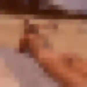 Jolie Nour, 31 ans à Saint-Julien-de-Chédon - découvrir son profil