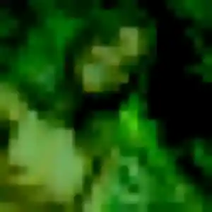 Profil de Simone à Saint-Julien-du-Sault (38 ans) - plan cul gratuit