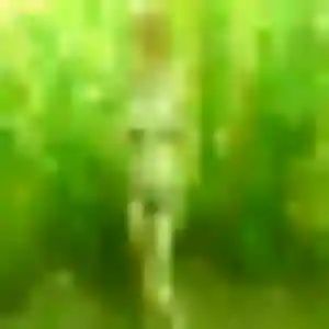 Photo privée de Pauline, 42 ans à Saint-Laurent-les-Églises - plan discret