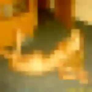 Profil de Florence à Saint-Léger-près-Troyes (35 ans) - plan cul gratuit