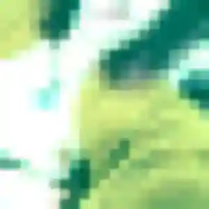 Jeannette de Saint-Léger-sous-Cholet, 29 ans - plan cul en toute liberté