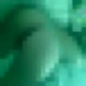 Thais, femme de 29 ans cherche plan cul à Saint-Léger-sur-Dheune