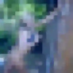 Photo perso de Solene, 35 ans à Saint-Léger-sur-Roanne - rencontre sans lendemain