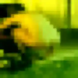 Noella (43 ans) à Saint-Maixent-sur-Vie attend une rencontre rapidement