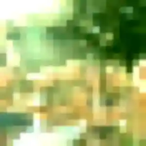 Charmante Margot, 42 ans à Saint-Malô-du-Bois - la contacter