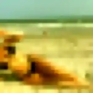 plan cul à Saint-Mamert-du-Gard : photo de Colombe, 44 ans - sans engagement