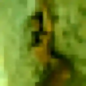 Profil de Prune à Saint-Marcel-lès-Sauzet (31 ans) - plan cul anonyme