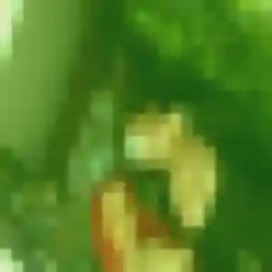 Profil de Capucine à Saint-Martin-d'Auxigny (29 ans) - plan cul anonyme