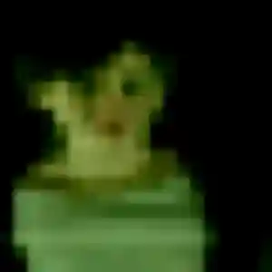 Cassandre, 24 ans, connectée à Saint-Martin-d'Oney pour un plan cul