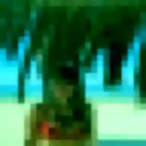 Photo de Tania à Saint-Martin-d'Uriage (27 ans) - plan cul anonyme