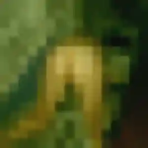 Delphine, femme de 42 ans veut plan cul à Saint-Martin-de-Gurson