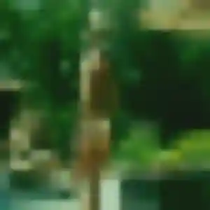 Profil de Elise à Saint-Martin-de-la-Porte (32 ans) - plan cul gratuit