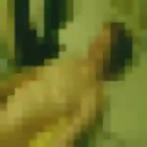 Wanda, femme de 24 ans cherche plan cul à Saint-Martin-de-Nigelles