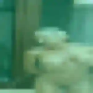 Découvre Elsa, 24 ans à Saint-Martin-du-Tertre gratuitement