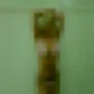 Photo perso de Mila, 37 ans à Saint-Martin-la-Garenne - plan discret