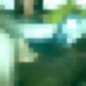 Sexy Monique, 39 ans à Saint-Martin-le-Nœud - la contacter