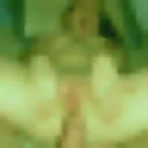 Noella (33 ans) à Saint-Martin-Osmonville attend un plan cul rapidement