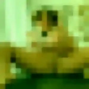 Photo perso de Jeannine, 45 ans à Saint-Maurice-de-Cazevieille - rencontre coquine