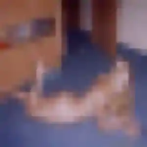 Photo perso de Ginette, 26 ans à Saint-Maurice-sur-Moselle - plan discret
