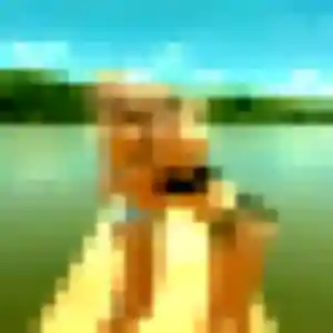 Belle Laura, 32 ans à Saint-Maximin-la-Sainte-Baume - découvrir son profil