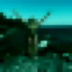 Ophelie, 32 ans, dispo pour plan cul à Saint-Maximin-la-Sainte-Baume