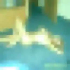 Photo sexy de Claire, 26 ans à Saint-Méard-de-Gurçon - rencontre sans lendemain