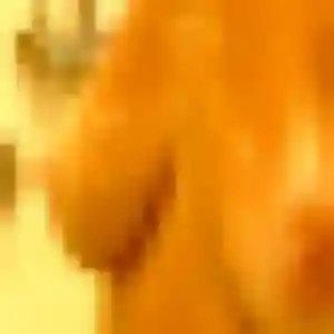 Joelle, 32 ans, disponible à Saint-Méard-de-Gurçon pour un plan cul