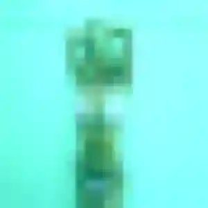 Pauline (31 ans) à Saint-Médard-en-Forez propose une rencontre ce soir