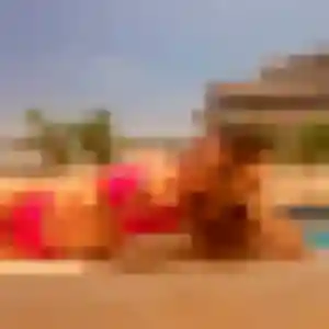 Honorine, fille de 26 ans cherche plan cul à Saint-Mitre-les-Remparts