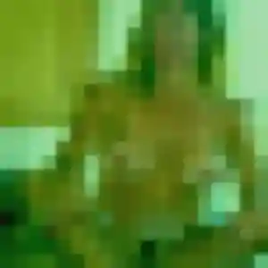 Photo exclusive de Francoise, 22 ans à Saint-Nauphary - rencontre sans lendemain