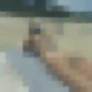 Profil de Elise à Saint-Nazaire (30 ans) - plan cul discret